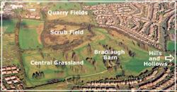 Bradlaugh Fields Local Nature Reserve
